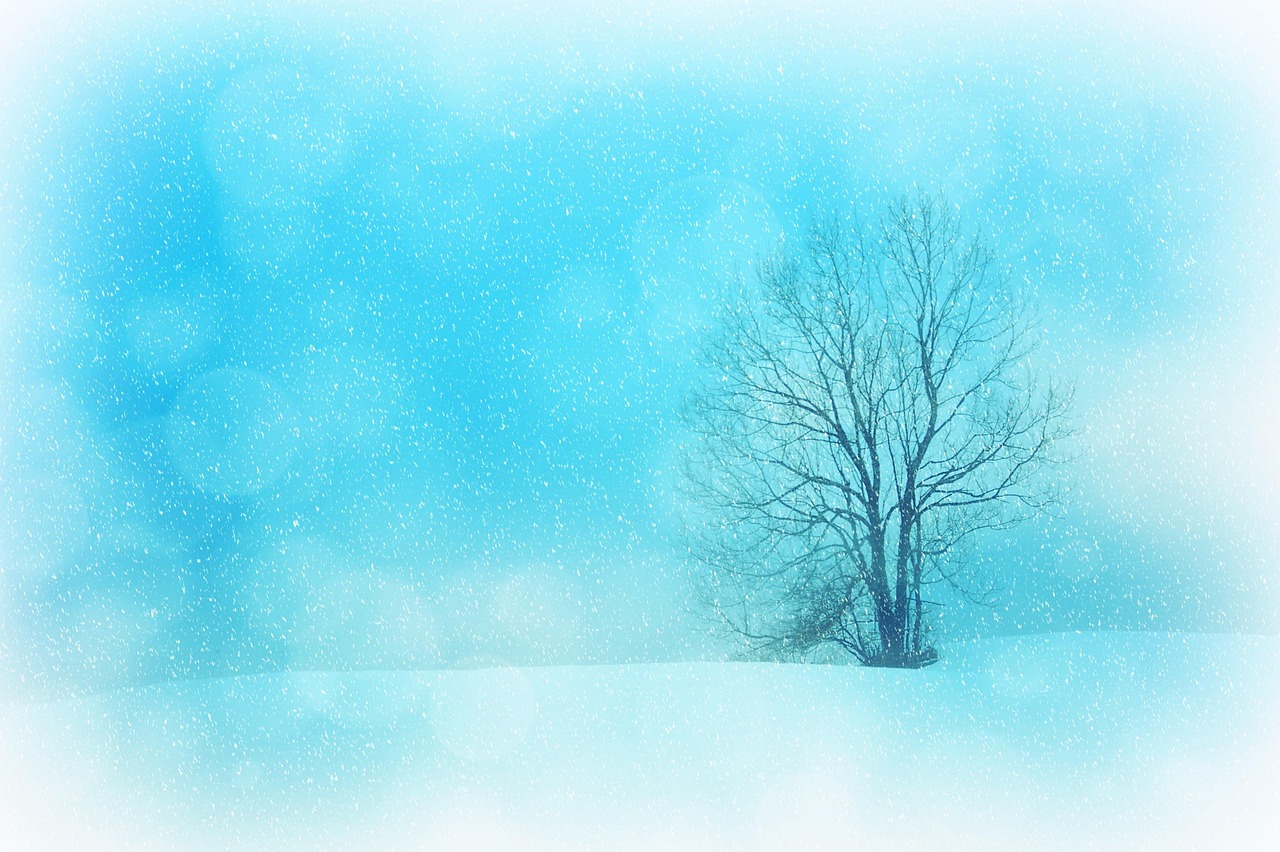 textur, hintergrundbild 4k, hintergrund, full-hd-hintergrundbild, hd-hintergrund, winter, coole hintergründe, winterlandschaft, hintergrundbild in hd, schnee, mac-hintergrundbild, schneeflocken, natur, desktop-hintergründe, baum, einsam, bokeh, weihnachten, weihnachtskarte, kostenlose tapete, kostenloser hintergrund, windows wallpaper, blau, weiß, laptop-hintergrundbild, kahler baum, schöne tapete, 4k-hintergrundbild, 4k-hintergrundbild 1920x1080, frost, schneelandschaft, eisig, kalt