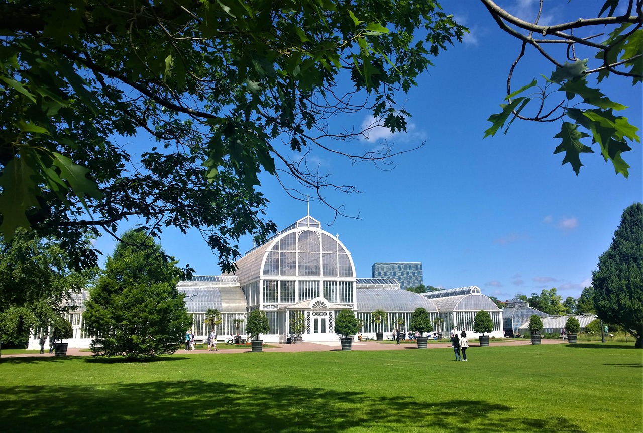 göteborg, palmhuset, trädgårdsföreningen, park, växthus, arkitektur, sverige, byggnad, sommar, skyline, stad, husfasad, himmel, träd, byggnaden, vackert, landskap, utomhus, grönt, gammalt, resmål, stadsvy, natur, gräs, foto, skugga, parken, oas, skuggor, sommartid, svensk sommar, trädgård, fridfull, växt, fasad, glashus, växter, utsikt, vy, vitt, resa, resor