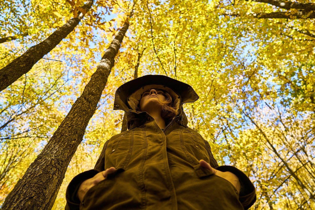 depression, to wait, melancholy, sad, alone, woman, nature, person, model, youth, winter, cold, topper, mont, human, portrait, young girl, photography, young model, composition, view, young women, hat, unemployed, forest, autumn, trees