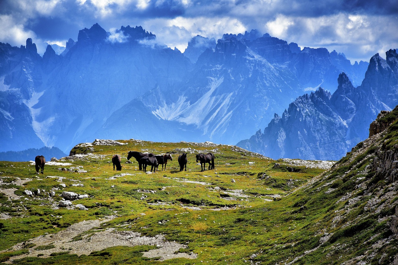 the three peaks of lavaredo, horses, mountain, dolomites, italy, blue sky, lavaredo, three peaks, mountain climbing, natural wonders, nature, hiking, landscape, panorama, sky, veneto, blue, green, clouds, colors, to stroll, trails