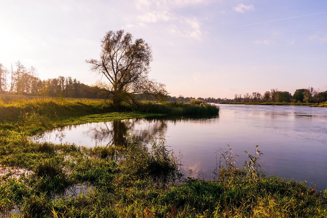natura, rzeka, woda, krajobraz, piękno natury, polska, przyroda, widok, odra, drzewo, drzewa, niesamowite, niebo, lato, turystyka, kolory, pejzaż, słonecznie, sky, tree, water, river, zielony, zieleń, zielen, rosliny, rośliny, słońce, slonce, chmury, spokojnie, spokojna, spokojne, odra, odra, odra, odra, odra