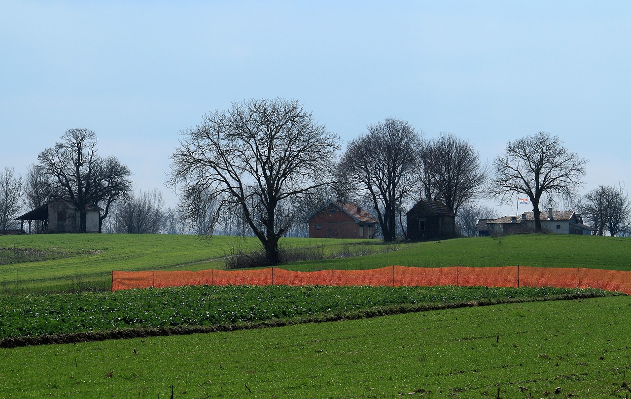 vorfrühling, panorama, feld, gras, baum, natur
