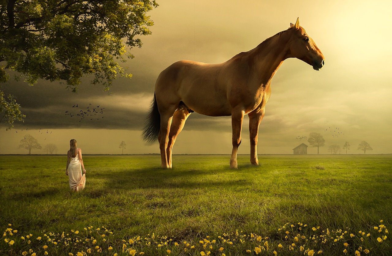 horse, field, meadow, grass, farmland, mammal, woman, female, dress, sun light, sunshine, clouds, sky, dark sky, flower background, sunset, flowers, trees, barn, animal, equine, rural, pasture, countryside, landscape, brown, flower wallpaper, sun, country, green, summer, season, spring, springtime, beautiful flowers, nature