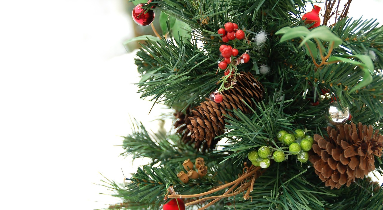 christmas, winter, fir, branch, season, christmas tree, christmas tree, christmas tree, christmas tree, christmas tree, christmas tree