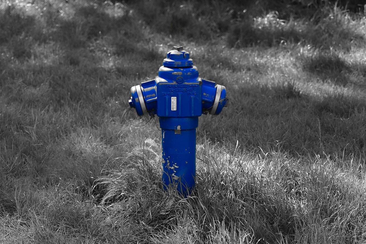 hydrant, natur, blau, gras, foto