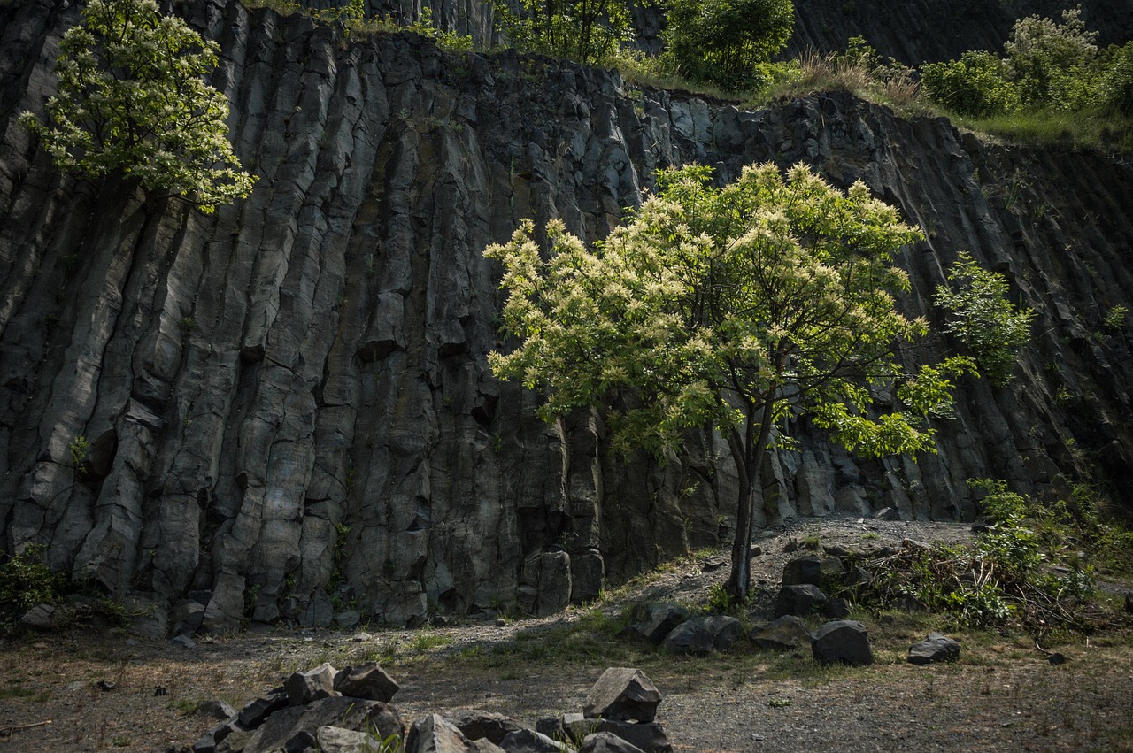 balaton, basalt, hegyestű, volcano, trip, hungary, mountain, nature, tree, destination, sky, popular, monument