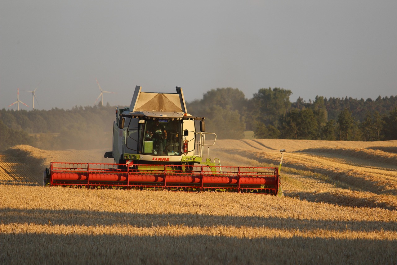 summer, nature, mow, barley, agriculture, field, rural, harvest time