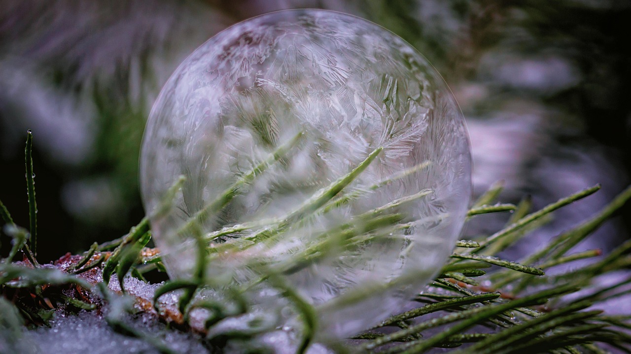 soap bubble, frozen, ice cream, winter, fir tree, ice crystals, bubble, cold, snow, bullet, frost, wintry, ice bubble, ice flowers, nature, structure