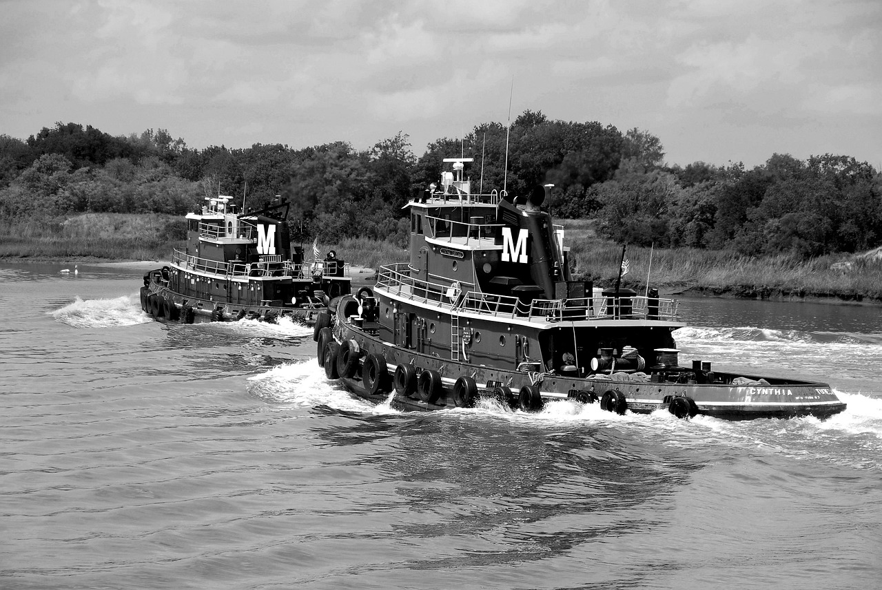 vlečné čluny, savannah, příroda, georgia, řeka, loď, voda, tahat, přístav, remorkér, plavidlo, námořní, lodní doprava, komerce, moře, přeprava, navigace, vlečení, černobílý, šedé řeky, šedá loď