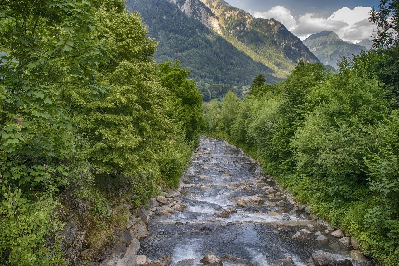 пейзаж, река, природата, планини, дървета, swiss