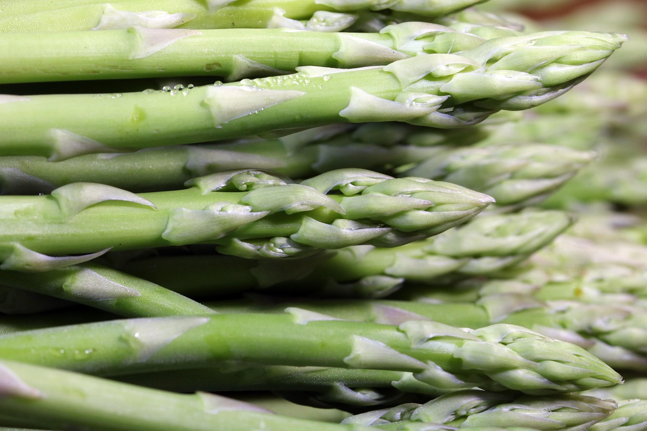 asparges, grøntsager, grøntsag, natur, førende, vitamin, produktion, fødevarer, arten af de, landbrug, ingrediens, ernæring, frisk, grøn, plante, madlavning