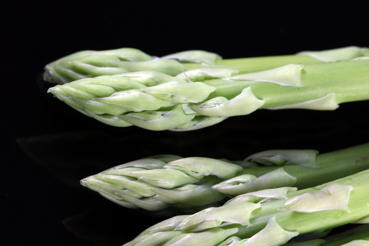 asparges, grøntsager, grøntsag, natur, førende, vitamin, produktion, fødevarer, arten af de, landbrug, ingrediens, ernæring, frisk, grøn, plante, madlavning