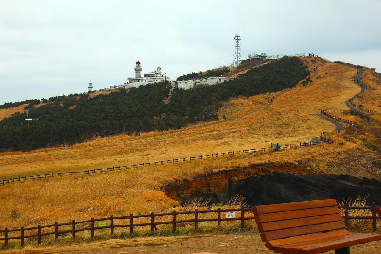 jeju island, udo island, iron head name, nature, field, hill, landscape, fence, jeju island, jeju island, jeju island, jeju island, jeju island, udo island, udo island