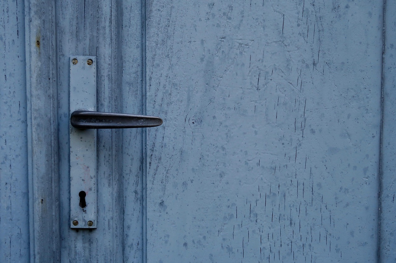 door, door lock, door handle, entrance, door fitting, front door