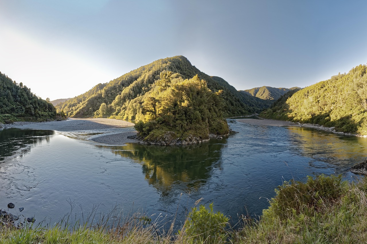 нова зеландия, buller gorge, buller river, панорама, природата, поток, хълм, горски, пейзаж, вода