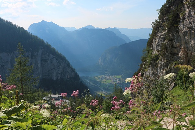 Sfondi Natura