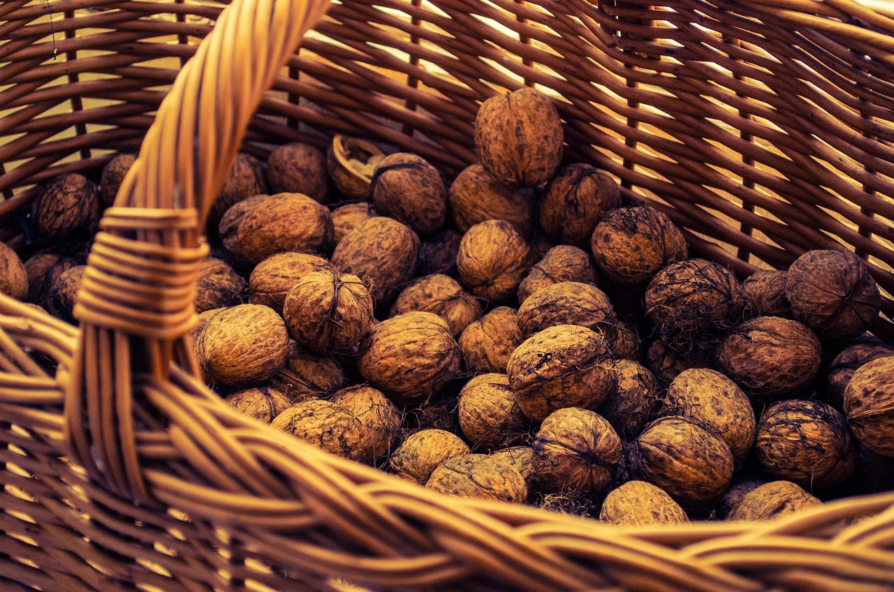 nuts, shopping cart, in the fall