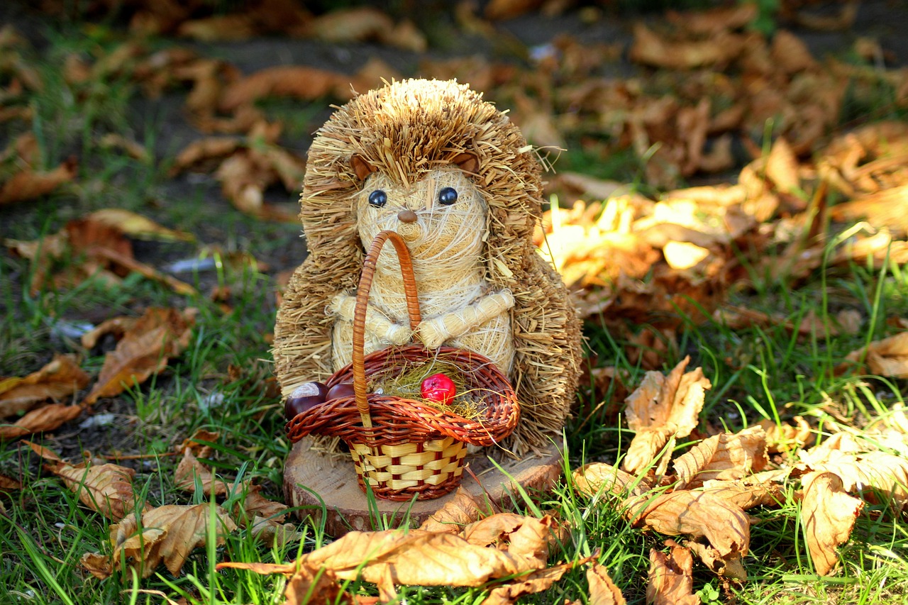 hedgehog, figurine, decoration, autumn, leaves, in the fall, nature