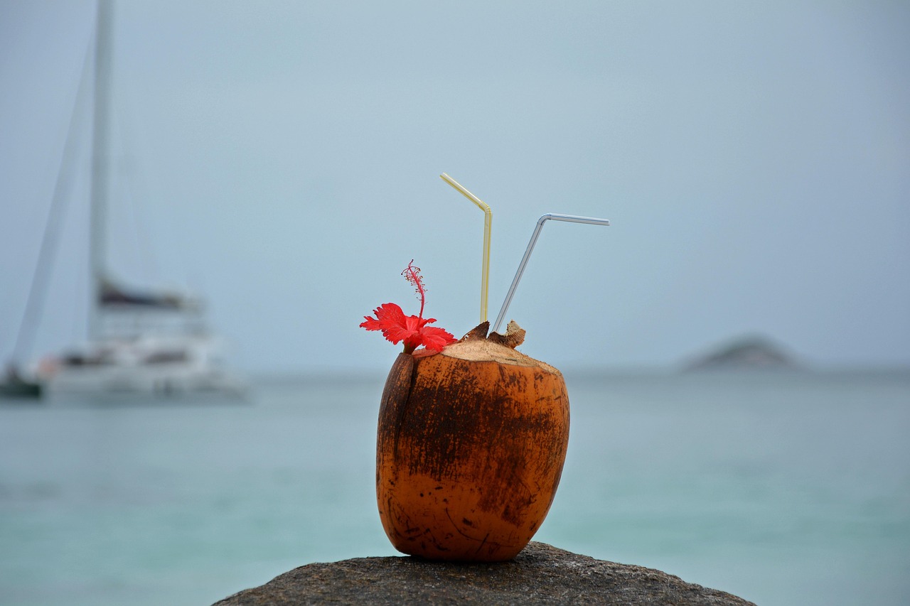 seychelles, seychelle-szigetek, kókuszdió, tenger, trópusi, sziget, strand, természet, utazik, kókusz, vakáció
