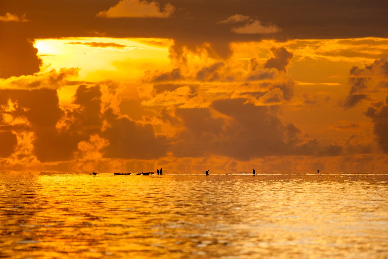 landschaft, chaoyang, das flache meer, fischer, das netz fische gefangen, tropische, widi inseln, halmahera-inseln, indonesien