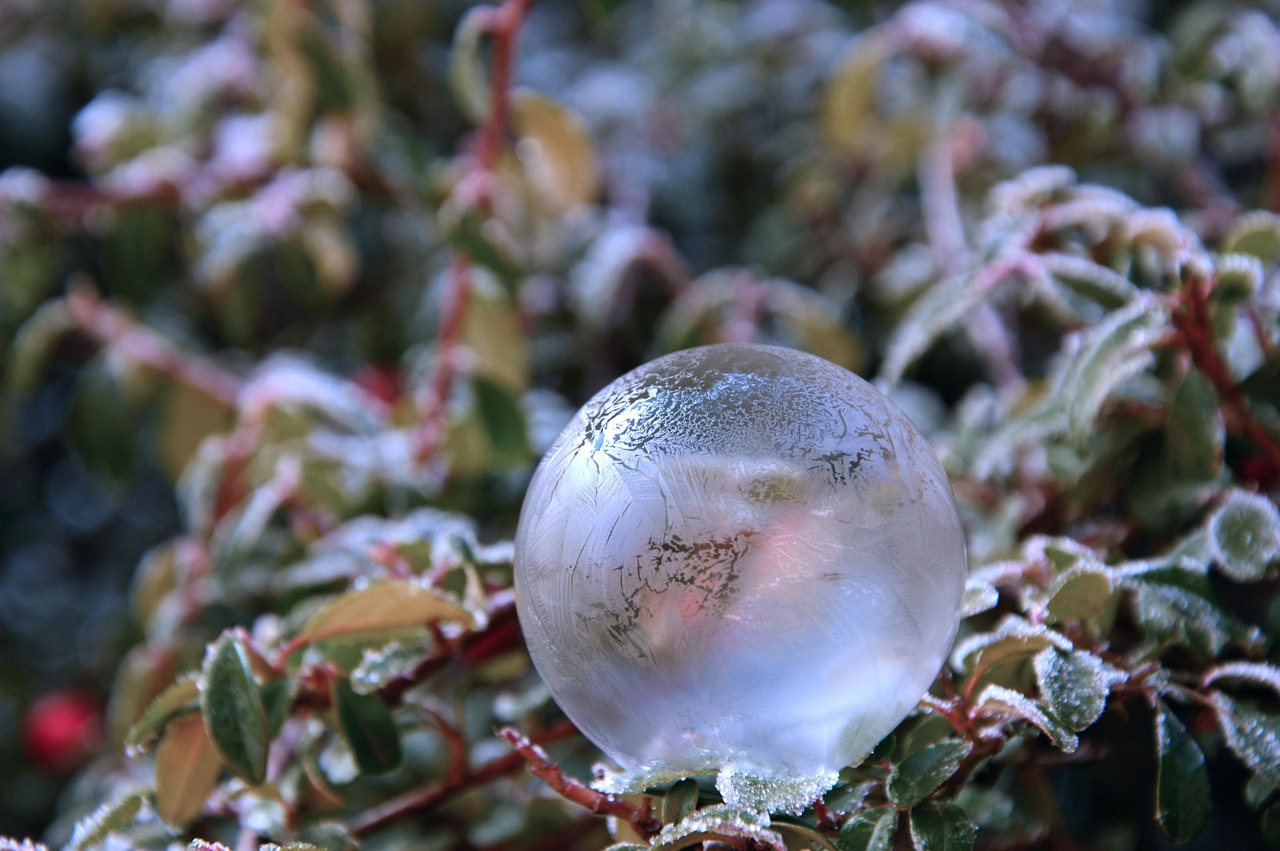 soap bubble, frozen, ice cream, ice crystals, winter, cold, frost, winter picture, bubble, bullet, frost ball, crystalline, ice bubble