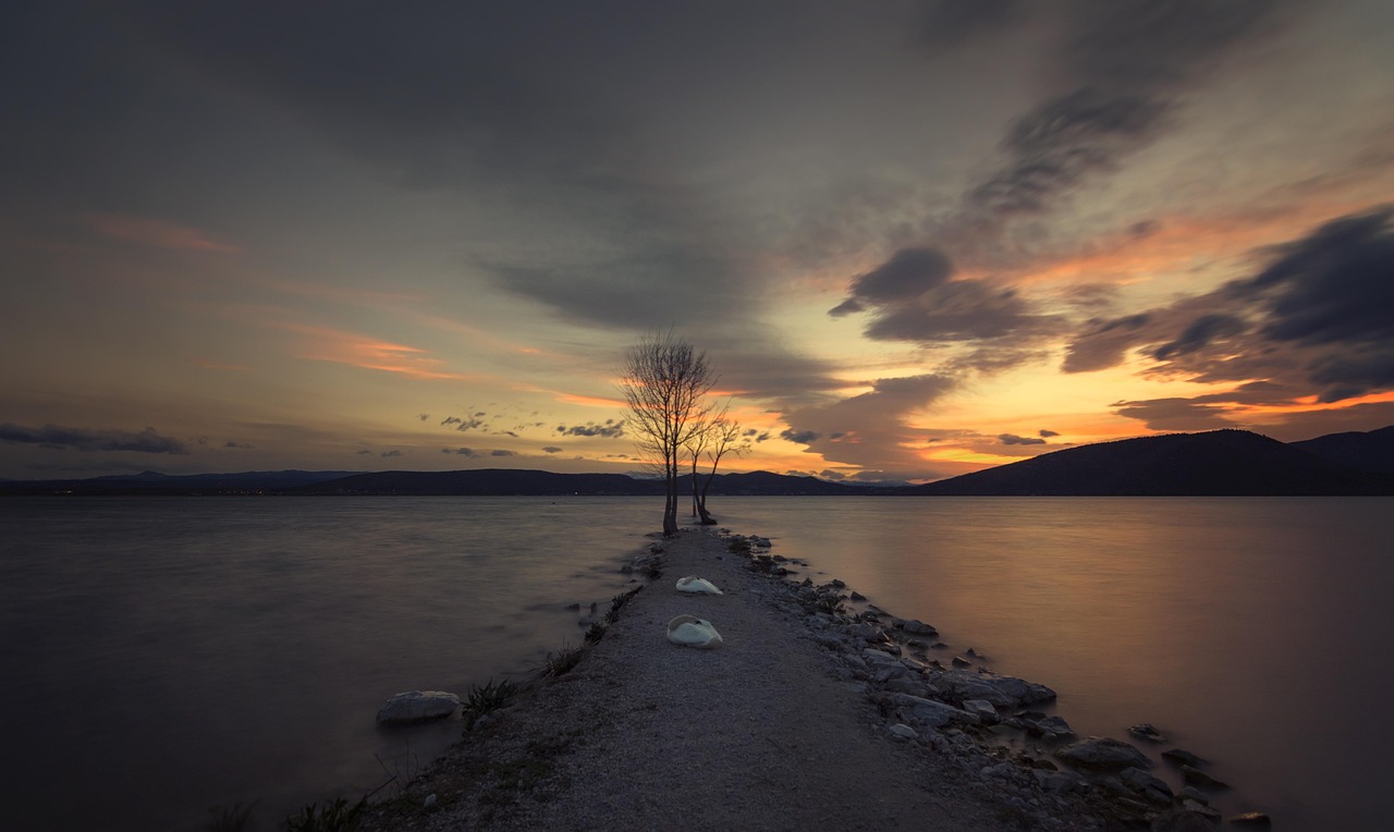 tree, lake, long exposure, filter, water, nature, landscape, clouds, reflection, scenic, rest, mood, quiet, idyllic, filter, filter, filter, filter, filter