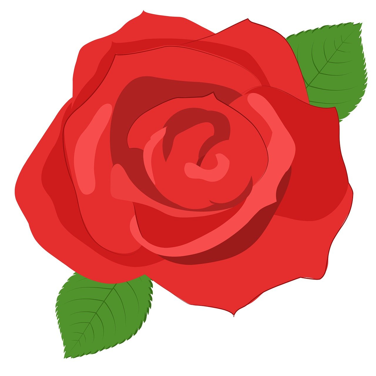 rose, flower, vector, beauty, romance, badge, icon, web design, sample, sketch, floral background, nature, silhouette, background