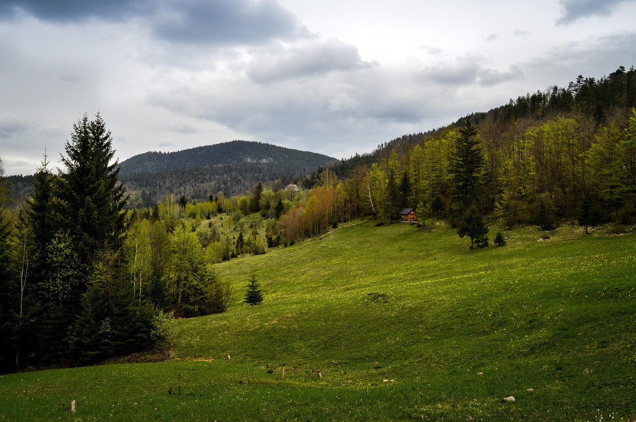 serbia, tara, mountain, landscape, nature, cloud, before storm, serbia, serbia, serbia, serbia, serbia, tara, tara