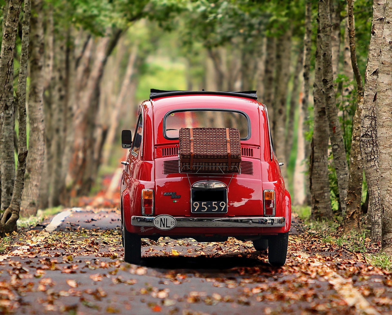 fiat 500, automobile, trees, antique car, vehicle, classic, italy, nostalgia, car, nature, small car, motor vehicle, avenue, road, car wallpapers, path
