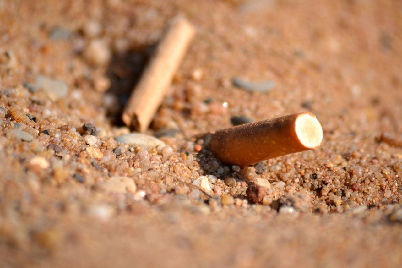sand, cigarette, garbage, disposal, environmental protection, old, environment, marlboro, ash, waste bins, beach, cigarettes, narcotics, cancer, nature, disease, danger