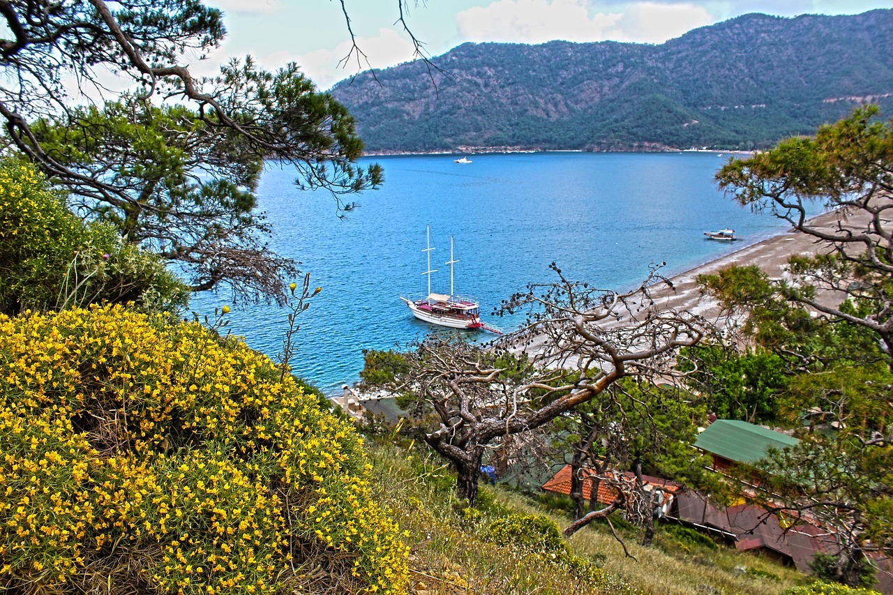 adrasan, mettez le dans le, vue, la nature, côte, mer, vacances, forêt, arbre, bateau, l'été