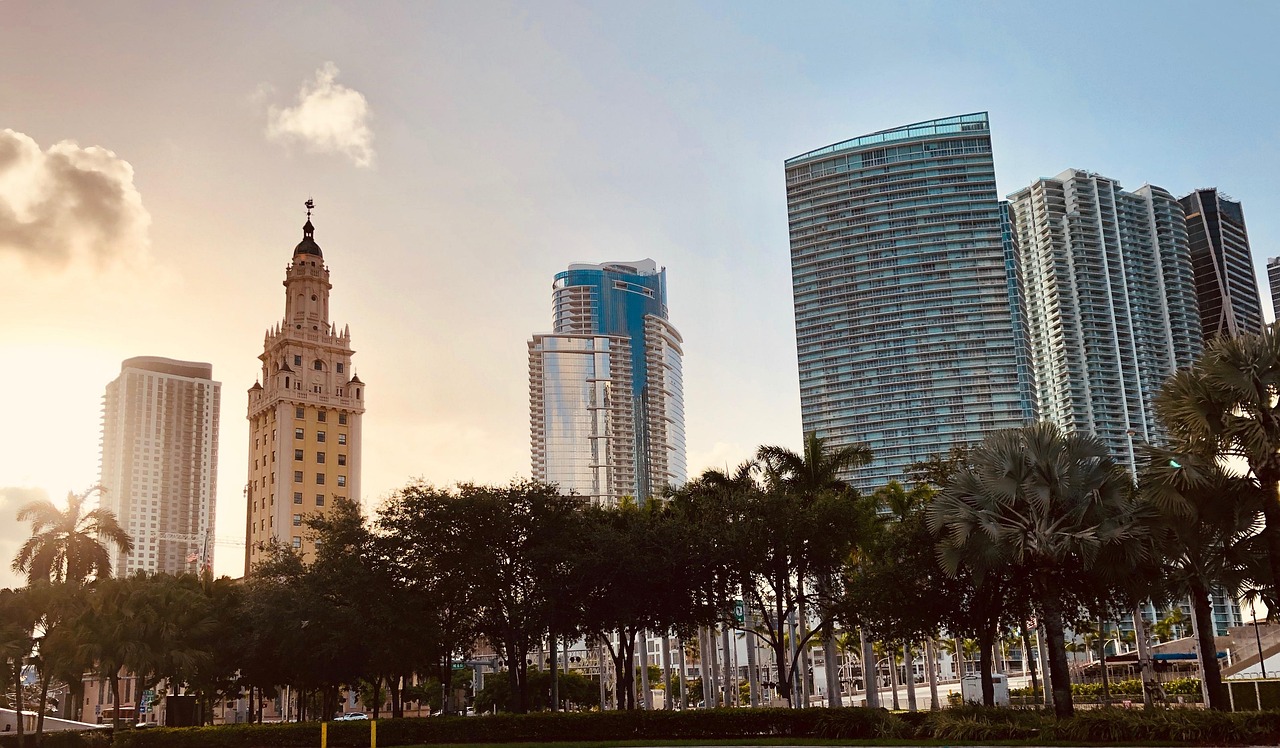 miami, florida, usa, skyline, downtown, sun, palme, natur, sonne, amerika, landschaft, architektur, gebäude, wolkenkratzer, stadt, himmel, tropisch, innenstadt, städtischen, metropole, wahrzeichen, tourismus, urlaub, blick, stadtbild, landschaftlich