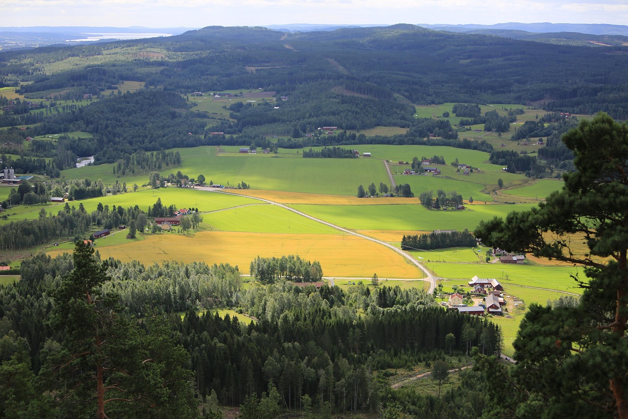 wärmland, svédország, hegy, természet, tájak, vidéki táj, ország, utazás, szabadtéri, nyár