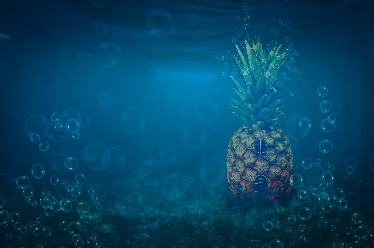 sponge bob, house of sponge bob, house pineapple, house under the sea, pineapple under the sea, sponge bob, sponge bob, sponge bob, sponge bob, sponge bob