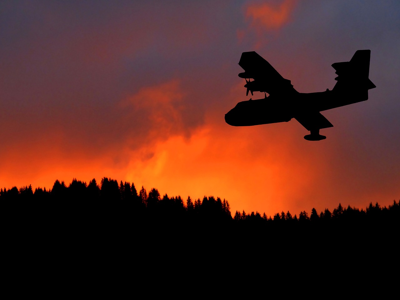 zonsondergang, canadair, vlak, vlucht, vervoer, motoren, geel, silhouet, oranje, natuur, zomer