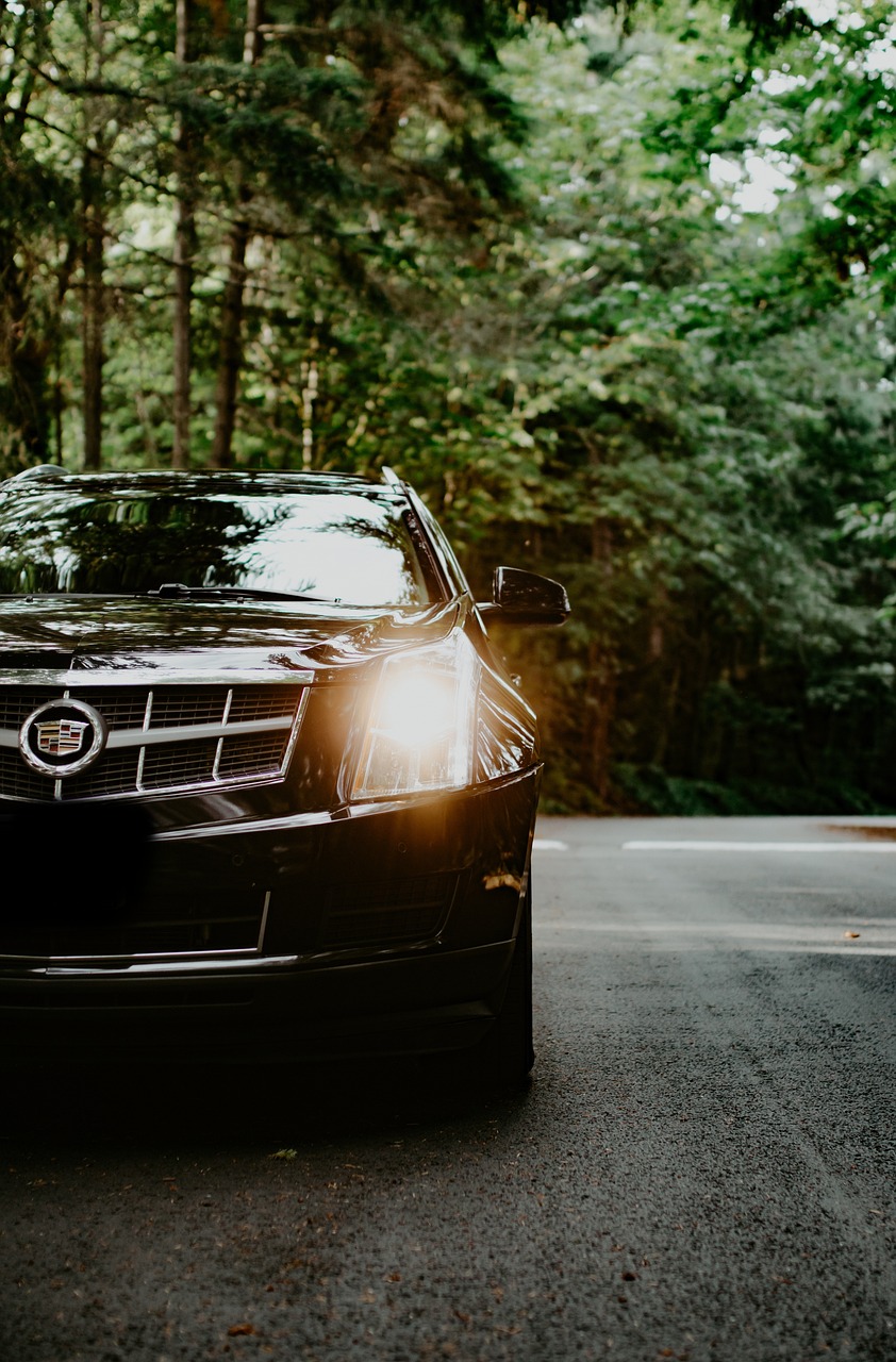 cadillac, natur, geländewagen, klassisch, auto, fahrzeug, automobil, autos, luxus, usa, glänzend, amerikanisch, cool, schick, grün, bäume, wald, straße, fahren, lichter