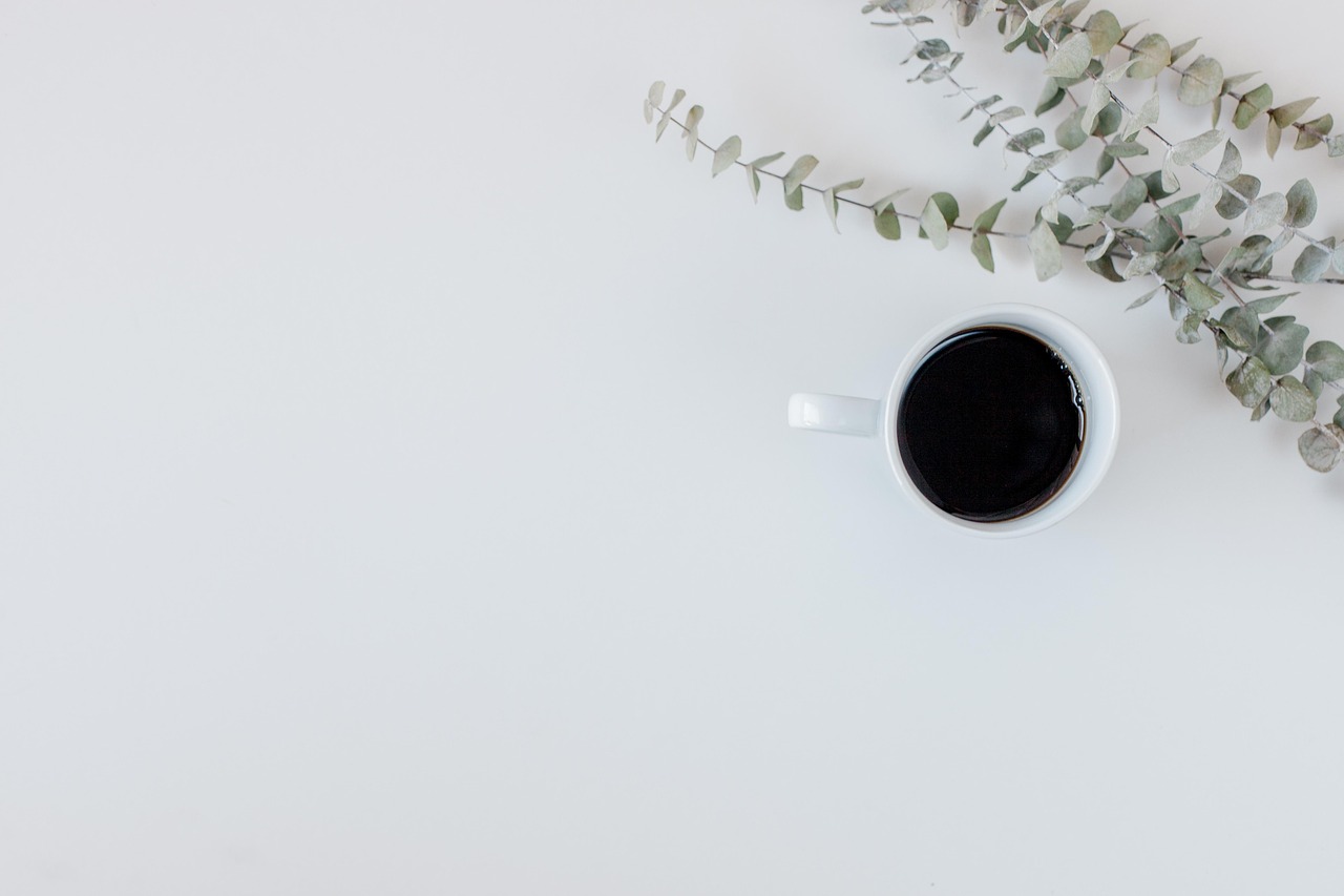 coffee, plant, desk, beautiful flowers, coffee cup, nature, flower, notepad, office, cup, leaf, drink, caffeine, flower background, flower wallpaper, table, business, blank, fresh