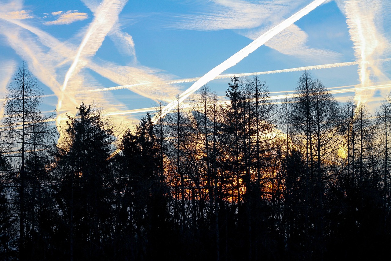 kondensstreifen, flugverkehr, luftfahrt, flugreise, luftverkehr, natur, sonnenaufgang, bäume, wald, reiseverkehr, verreisen, kondensstreifen, kondensstreifen, kondensstreifen, kondensstreifen, kondensstreifen, flugverkehr, flugverkehr, flugreise, luftverkehr, luftverkehr, luftverkehr