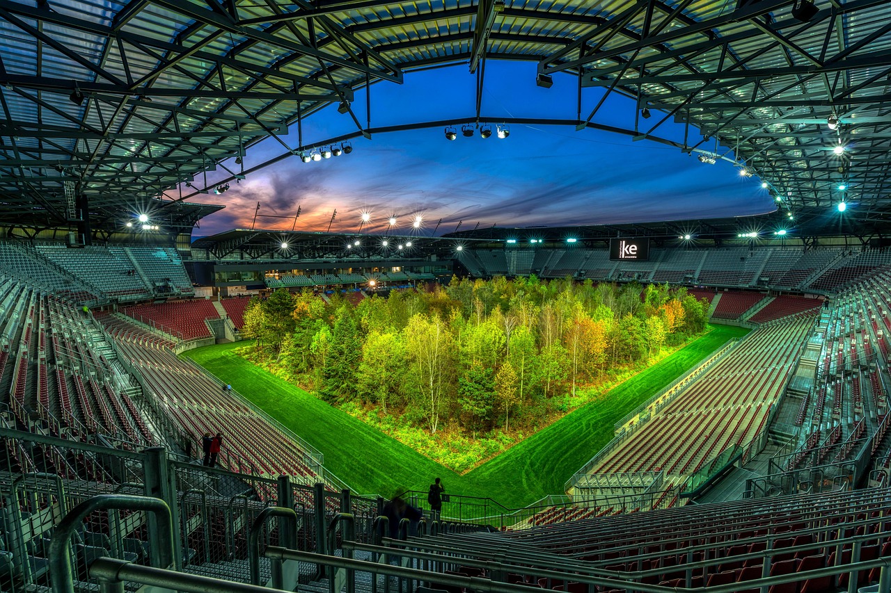 forforest, klagenfurt, avusturya, doğa, mod, sanat projesi, sanat, orman, stadyum, proje, çevre