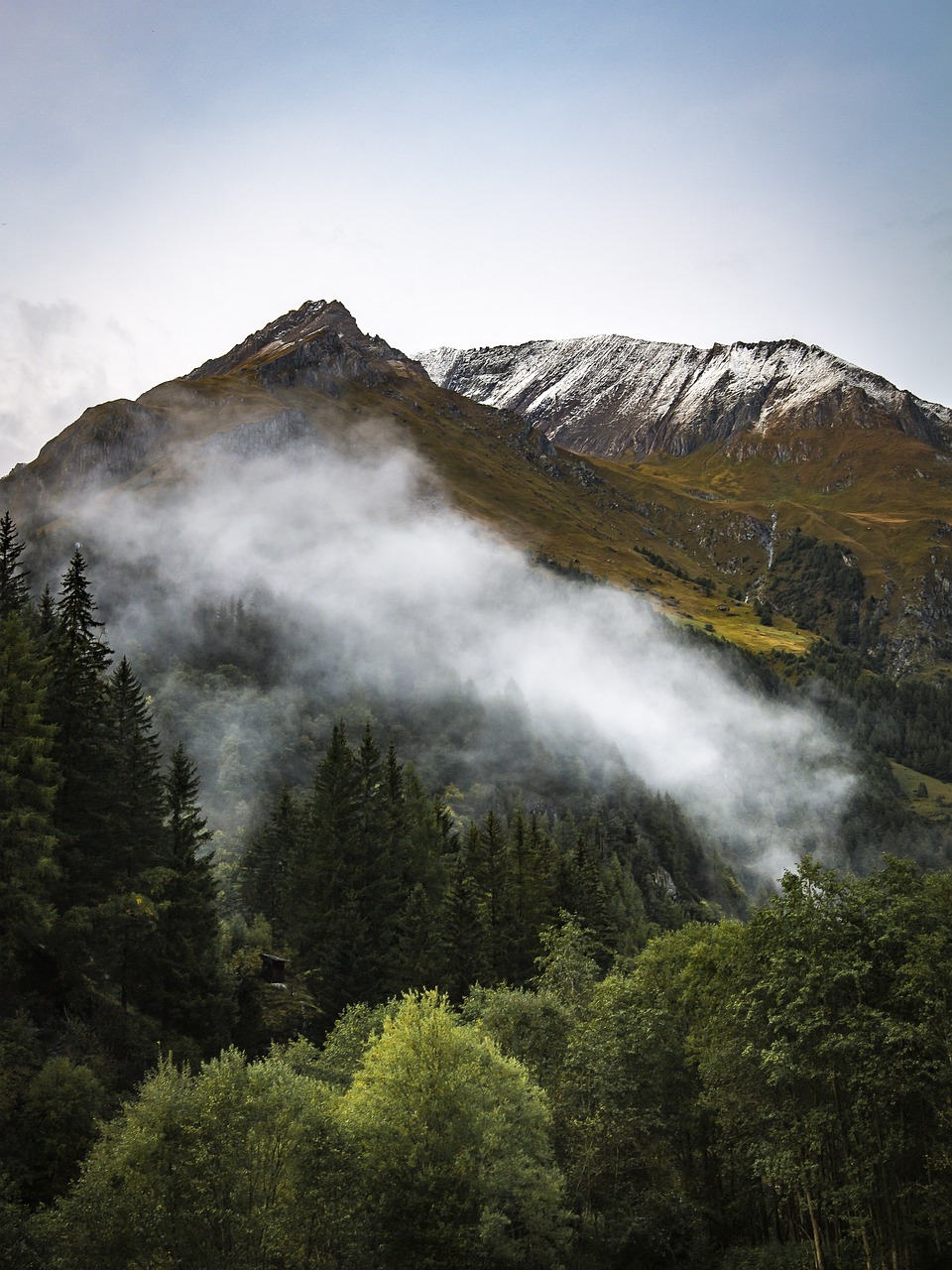 alpino, montagne, nebbia, alberi, foreste, conifere, sempreverde, bosco di conifere, alpi, paesaggio di montagna, natura, paesaggio, vertice, cielo, austria, autunno