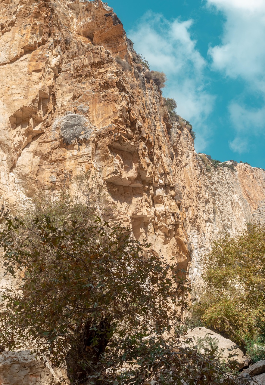 avakas gorge, пафос, кипър, каньон, пейзаж, небе, облаци, природата, камъни, растения, дървета, декор, лято, красив, скали, pamorama