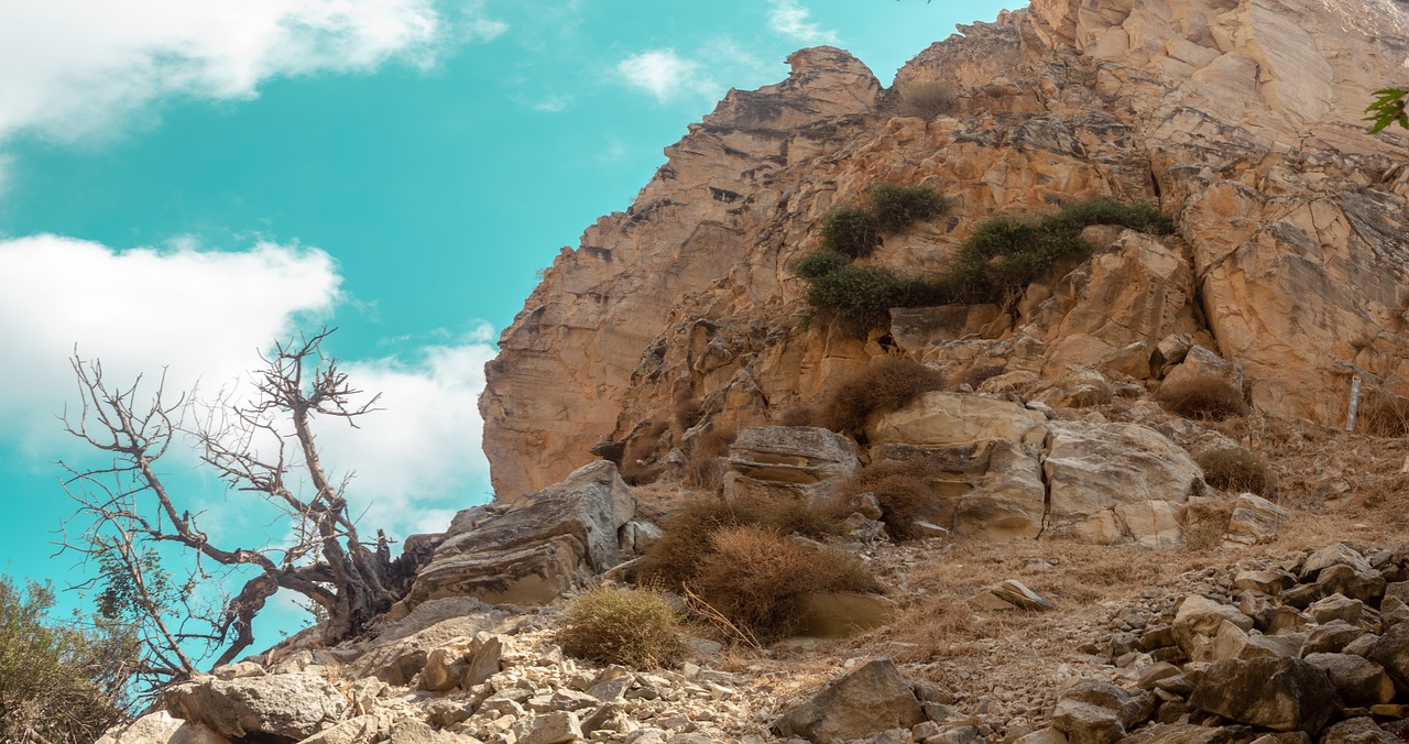 avakas gorge, пафос, кипър, каньон, пейзаж, небе, облаци, природата, камъни, растения, дървета, декор, лято, красив, скали, pamorama