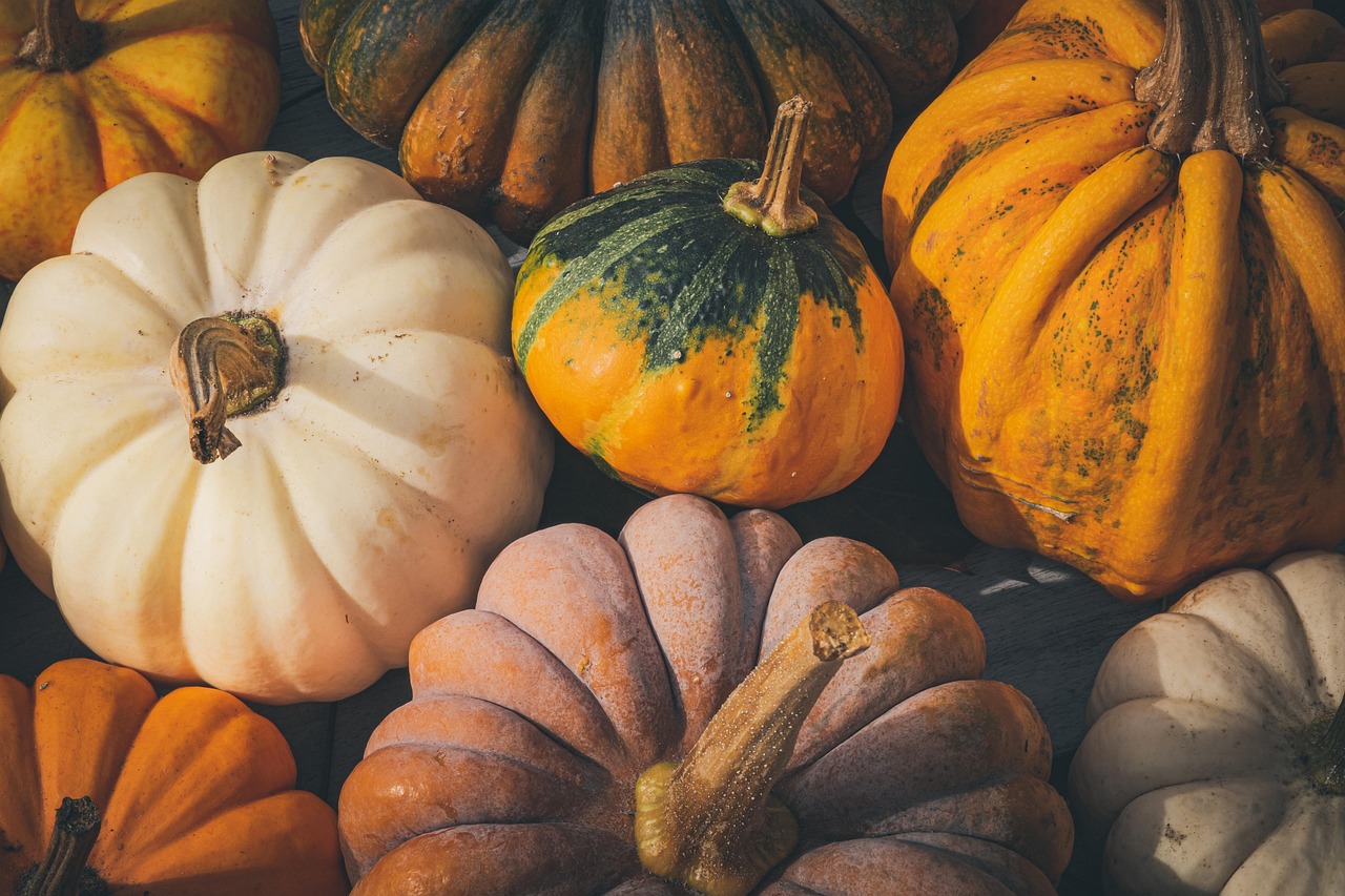 pumpkins, wallpaper 4k, 4k wallpaper 1920x1080, autumn, october, pumpkin, decoration, halloween, 4k wallpaper, beautiful wallpaper, food, free wallpaper, desktop backgrounds, hd wallpaper, fruit, harvest, thanksgiving, halloween background, full hd wallpaper, mac wallpaper, orange, colorful, decorative, free background, wallpaper hd, fruits, season, seasonal, laptop wallpaper, background, yellow, cool backgrounds, windows wallpaper, happyhalloween, halloweenforkids, brown fruits