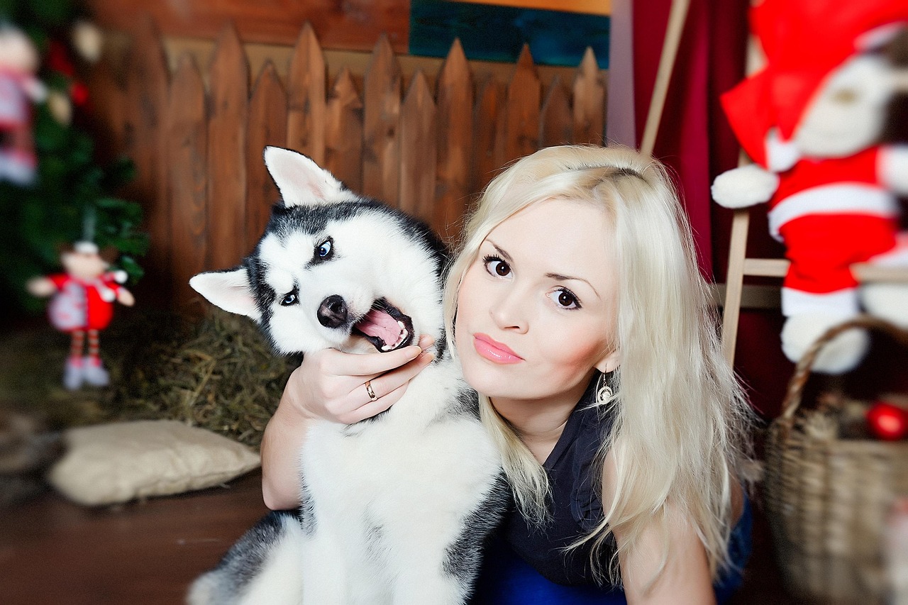 blonde with husky, girl with dog, portrait, friends, pet, a true friend, girls, male, comrade, animals, entertainment, obedience, dog, animal, nature