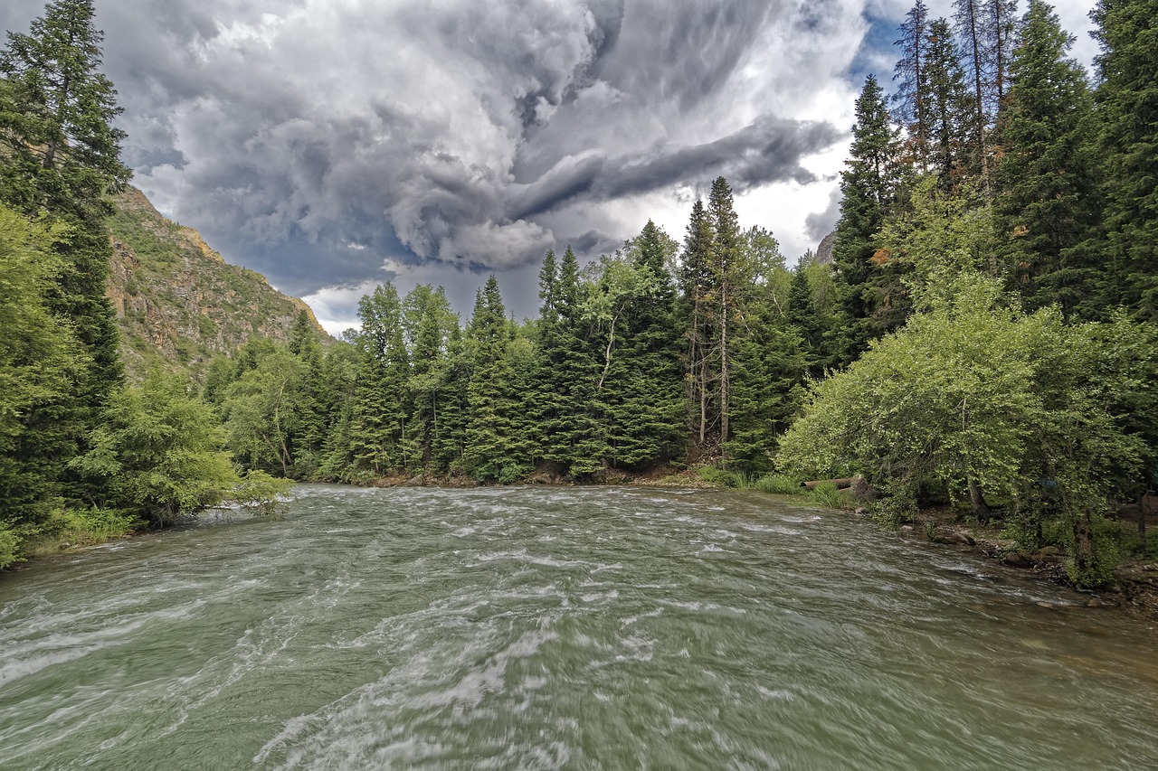 киргизстан, chychkan река, tschytschkan река, chychkan gorge, tschytschkan дефиле, поток, каньон, вода, планинска река, пейзаж, пустиня, небето, облаци, горски, природата, дървета