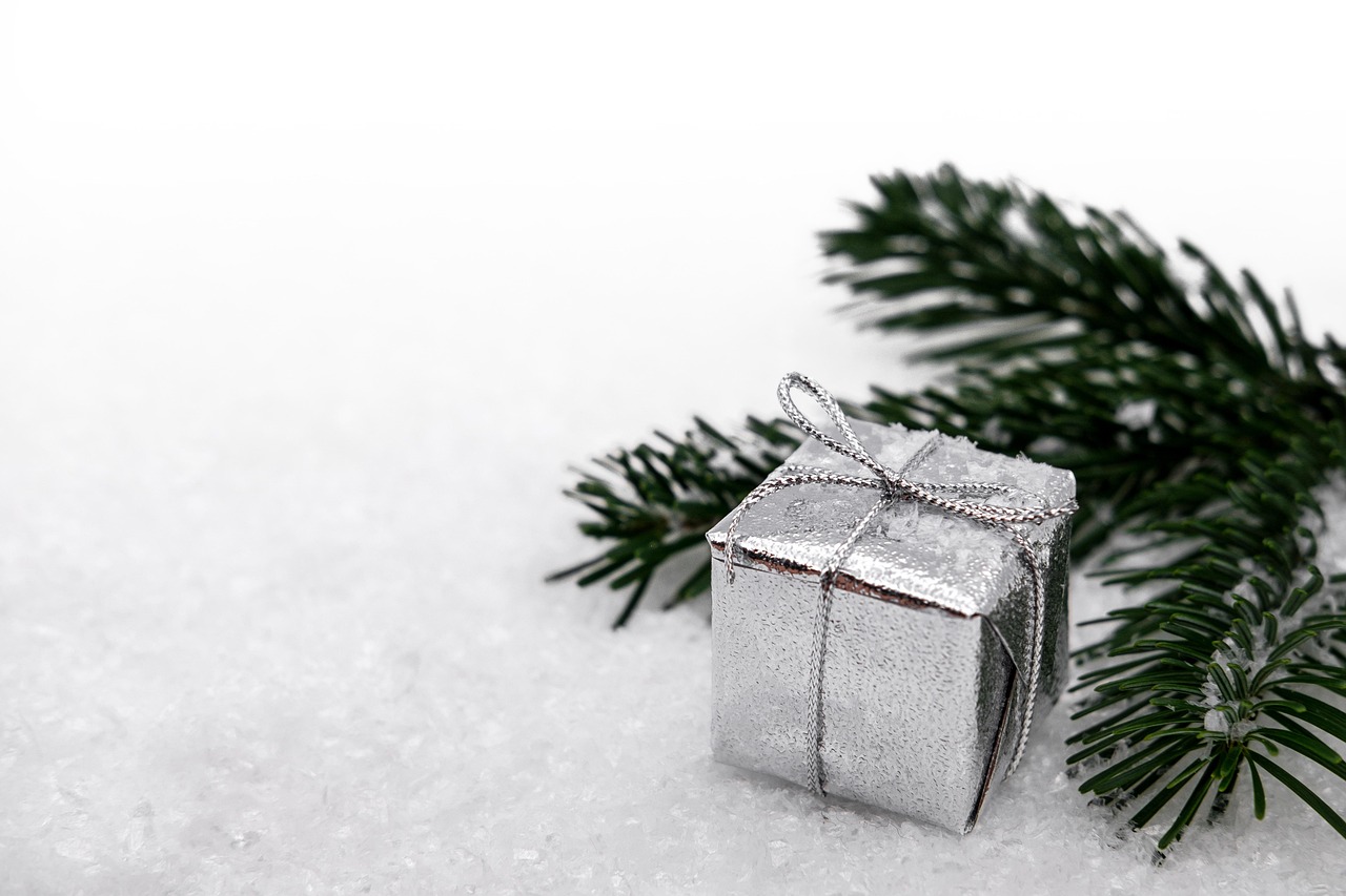 gift, surprise, nature, christmas, christmas time, snow, fir branch