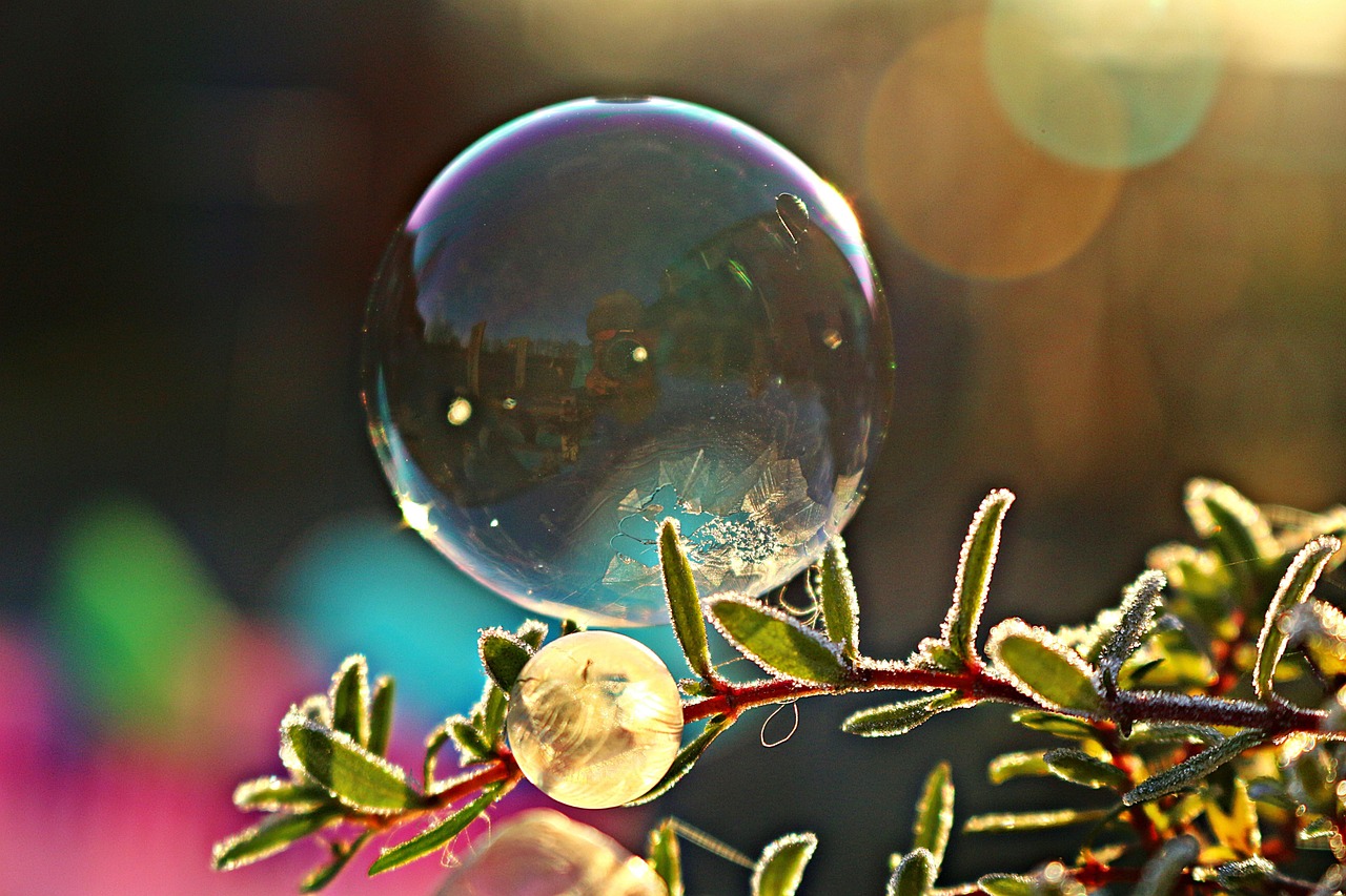 soap bubble, frost bubble, ice bubble, ice crystals, bullet, winter, frozen, frost, bubble, cold, freeze, frost ball, wintry, crystals, frozen bubble, ice flowers, ice crystal
