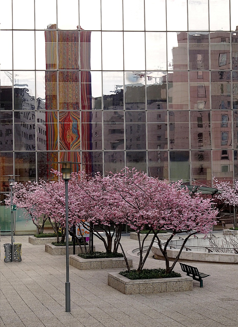 moderne architektur, urbanes design, struktur, glass, zeitgenössisch, reflexionen, spiegel, stadtplanung, geschäfts, stadtteil la defense, paris, frühling, blühende bäume, natur, fassade, futuristisch, schreibtisch
