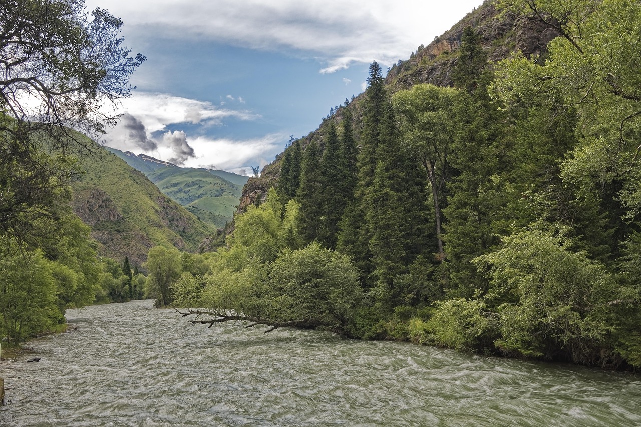 киргизстан, chychkan река, tschytschkan река, chychkan gorge, tschytschkan дефиле, поток, каньон, вода, планинска река, пейзаж, пустиня, небето, облаци, горски, природата, дървета, централна азия