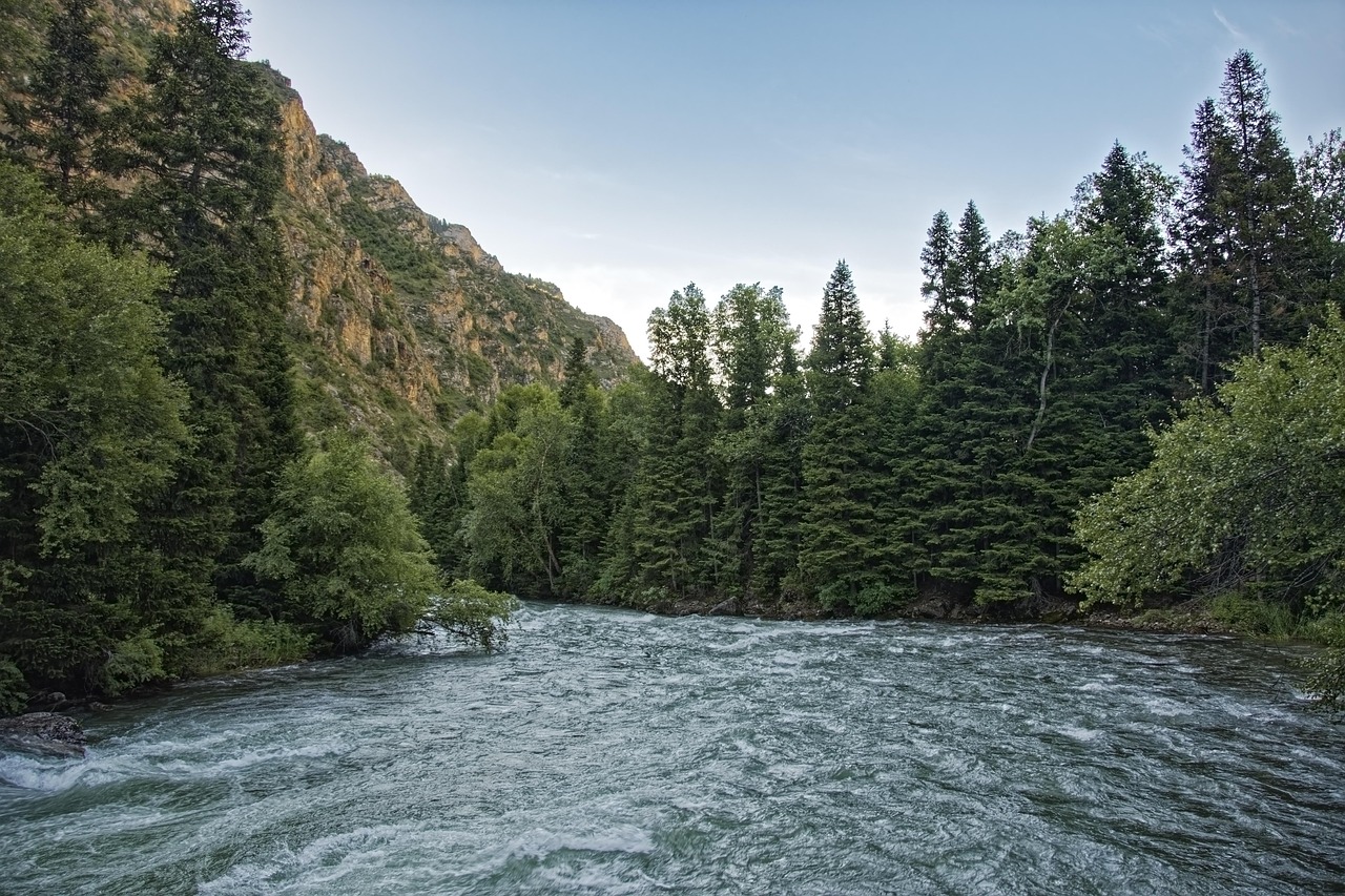 киргизстан, chychkan река, tschytschkan река, chychkan gorge, tschytschkan дефиле, поток, каньон, вода, планинска река, пейзаж, пустиня, небето, облаци, горски, природата, дървета, централна азия